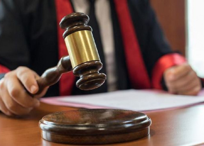 Penyelundup Ratusan Burung Liar di Lampung Akhirnya Dijatuhi Hukuman Lima Tahun Penjara