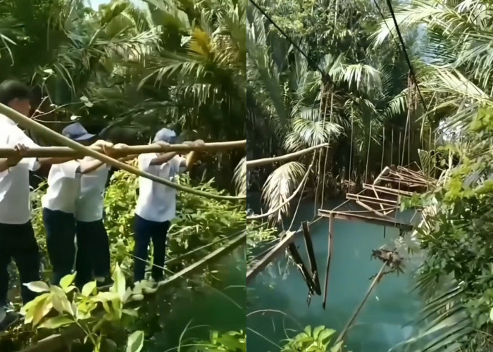 Miris, Siswa di Tanggamus Rela Menyebrang Jembatan Nyaris Ambruk Demi Bersekolah