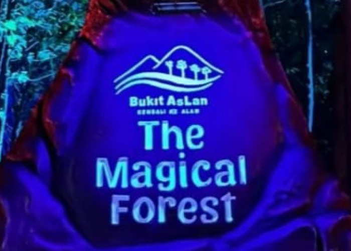 The Magical Forest Destinasi Instagramable di Bukit Aslan