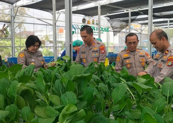 Polda Metro Jaya Panen 82 Kg Pakcoy Hidroponik untuk Dukung Program Makan Bergizi Gratis