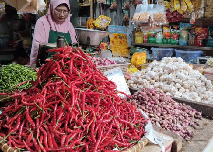 Harga Cabai di Lampung Melonjak pada Awal Mei 2026, Cabai Rawit Sentuh Rp64 Ribu per Kilogram