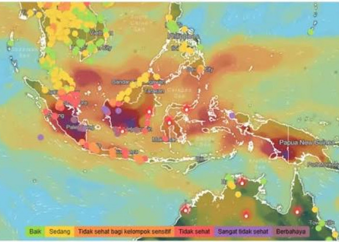 MUI Desak Pemerintah Tuntaskan Karhutla, Serukan Taubat Nasuha