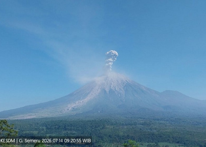 Gunung Semeru Kembali Erupsi, Abu Vulkanik Capai 1,3 Kilometer