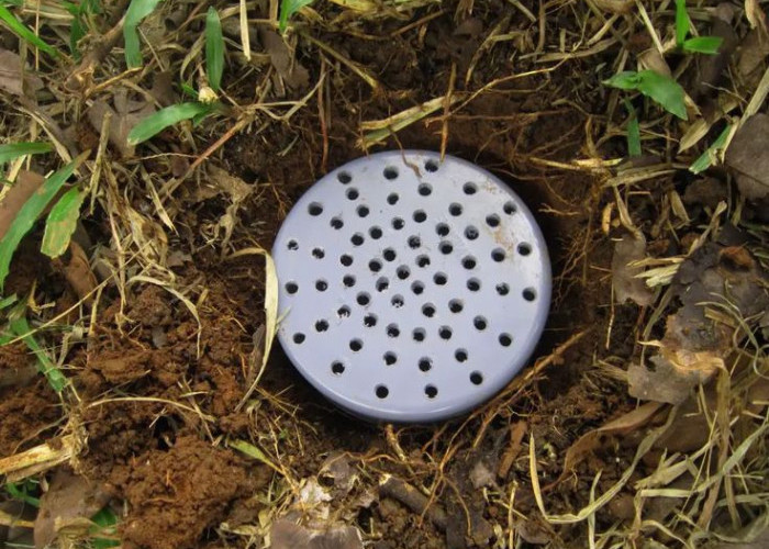 Biopori: Solusi Sederhana untuk Mengatasi Banjir dan Menjaga Kesuburan Tanah