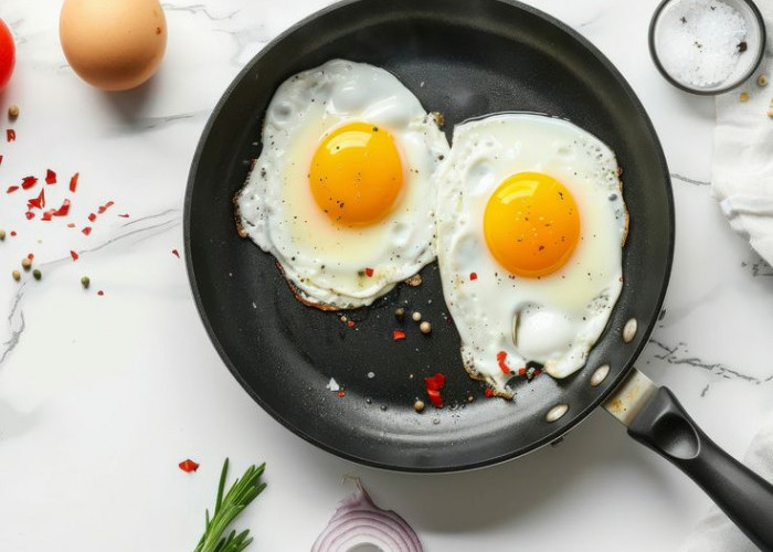 Benarkah Makan Telur Setiap Hari Picu Kolesterol? Simak Penjelasan Ilmiahnya