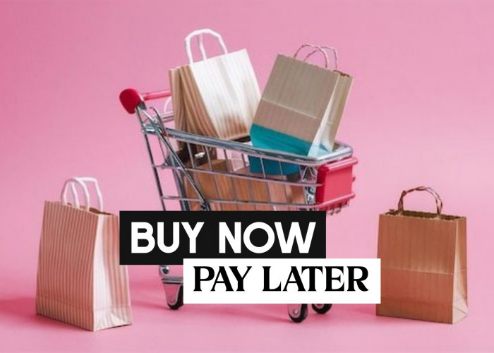 Paylater Makin Diminati, Kemudahan yang Perlu Diwaspadai