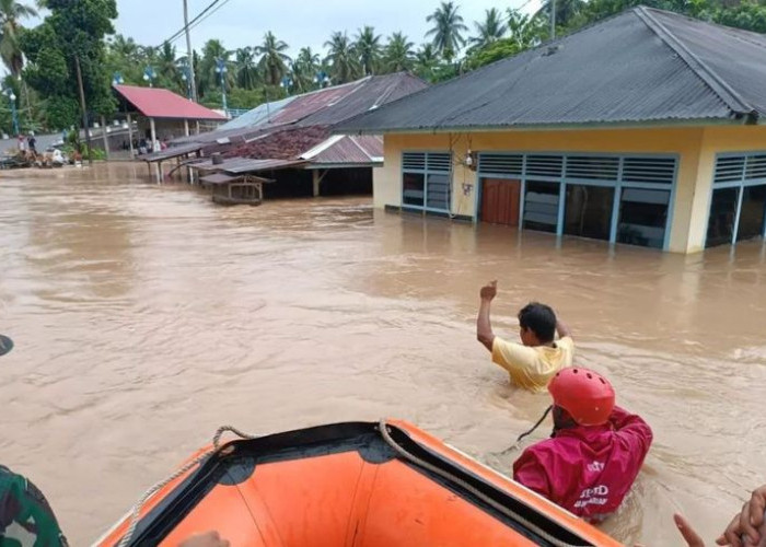 Korban Banjir Bandang di Agam Sumatera Barat Bertambah Jadi 47 Orang, Tim Gabungan Intensifkan Pencarian