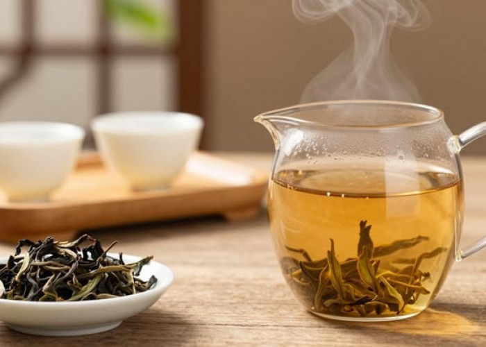 Rahasia di Balik Cangkir Oolong, Mengapa Teh Klasik Ini Kembali Dilirik?