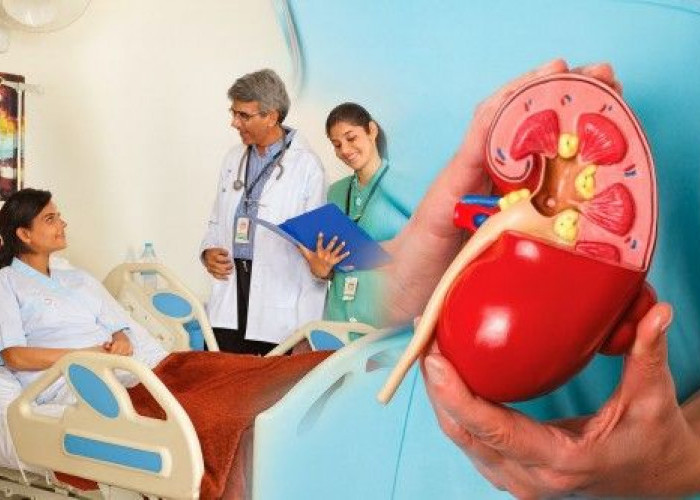 Pola Hidup Modern Picu Risiko Kanker Ginjal, Waspadai Sejak Sekarang