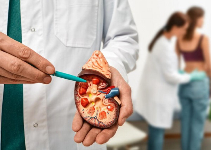 Tanpa Disadari, 5 Gejala Ini Bisa Menjadi Peringatan Awal Penyakit Ginjal