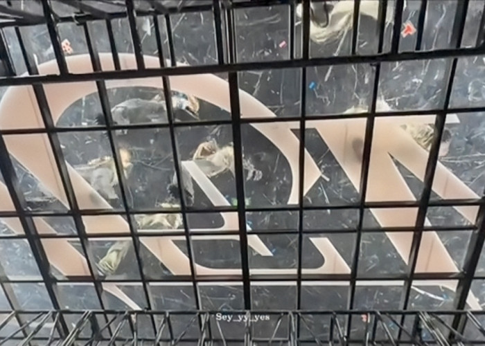 Fans Rela Bayar Mahal, Seventeen Suguhkan Konser Spektakuler dengan Konsep seperti di Akuarium