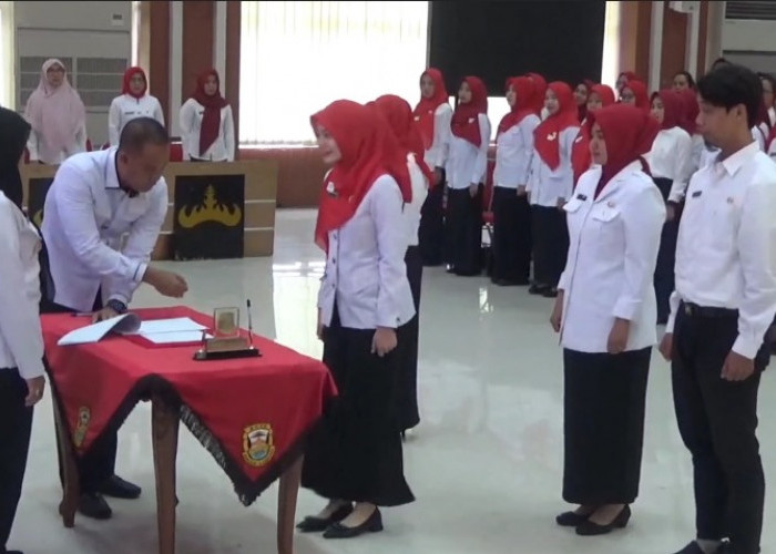 Duh Senangnya, 389 Honorer Terima SK Pengangkatan PPPK dari Walikota Bandar Lampung, Masih ada Kuota Ribuan