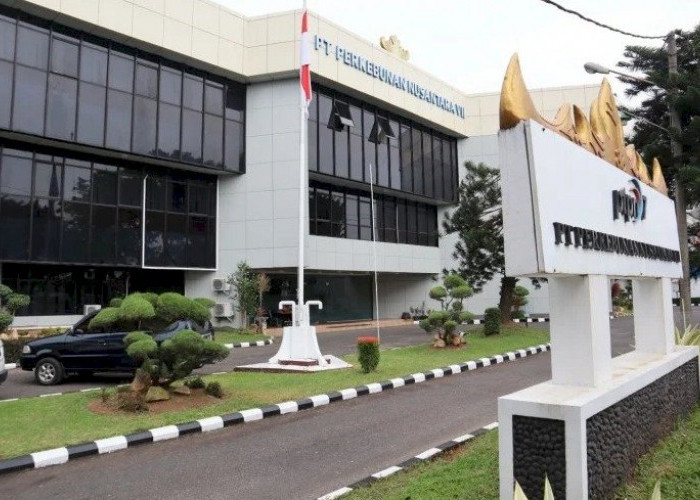Kasus Kakek Mujiran Masuk Sidang, PTPN I Regional 7 Buka Peluang Penyelesaian Restorative Justice