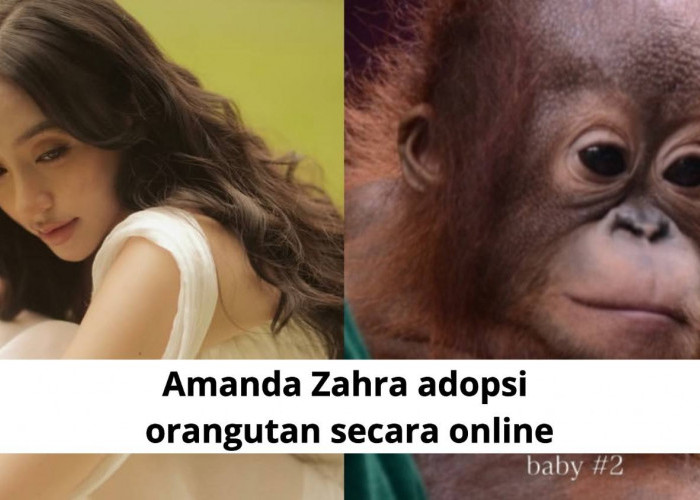 Amanda Zahra Adopsi Orangutan, Ajak Masyarakat Peduli Kelestarian Satwa Kalimantan