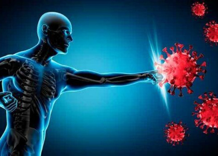 Tetap Sehat dan Produktif di Tengah Cuaca Tak Menentu, Ini Tips Jaga Imun Tubuhmu!