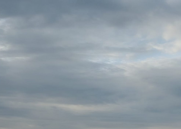 Langit Jambi Dibasahi Garam: Usaha Mencegah Asap dari Tanah Gambut