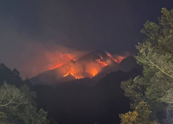 36 Titik Api Kepung Lereng Gunung Lawu, Helikopter Terhalang Asap Pekat