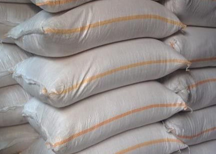 Harga Pupuk Melonjak, Petani di Lampung Barat Kian Terjepit