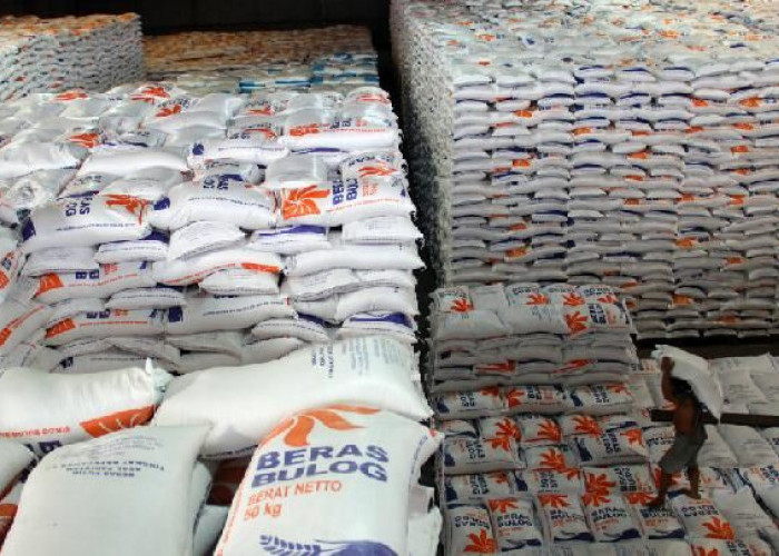 Beras Premium Langka di Ritel Modern, Pemerintah Tambah Pasokan Bulog