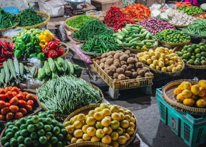Harga Pangan Kembali Jadi Perhatian, Ini Penyebab Harganya Mudah Berubah