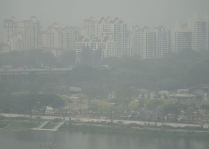WMO Sebut Kabut Asap Karhutla Indonesia Salah Satu yang Terburuk di Asia Tenggara