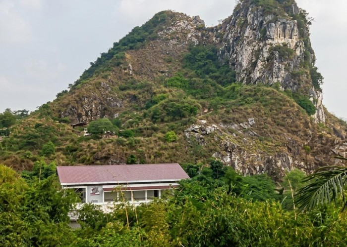 Dari Puncak Gunung hingga Tengah Tambak, Ini Deretan KDMP Paling Unik di Indonesia