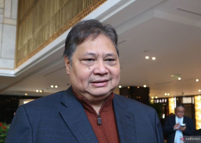 Resmi Dibuka! Program Magang Nasional 2025 Beri Gaji Rp3,3 Juta Selama 6 Bulan