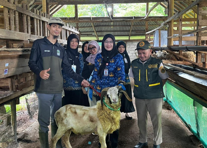 Pemprov Lampung Libatkan 1.229 Petugas untuk Pantau Hewan Kurban Jelang Iduladha