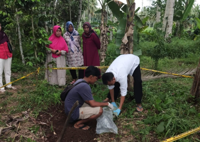Tega Nian, Bayi Perempuan Diduga Hasil Perzinaan Dikubur Di Kebun Warga Tanggamus Lampung