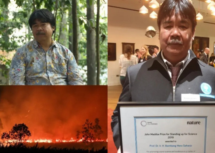 Kisah Prof Bambang Hero, Guru Besar IPB Penyelamat Hutan Indonesia
