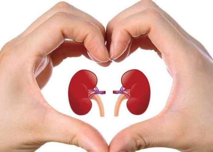 Kamu Harus Tahu! 5 Kebiasaan yang Perlu Diubah agar Ginjal Tetap Sehat