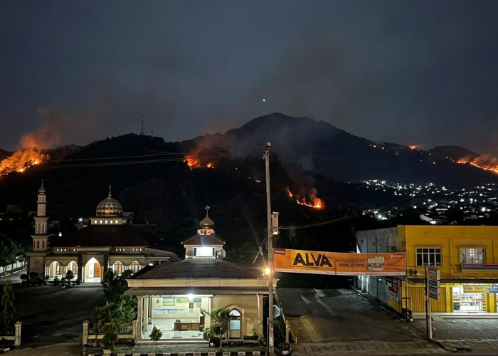 Kebakaran Perbukitan di Sukamaju Teluk Betung Barat, Lokasi Dekat SPBU Puti Minang