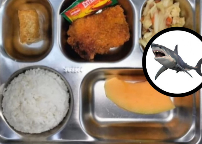 Keracunan MBG di Ketapang, Menu Ikan Hiu Goreng Jadi Sorotan Besar