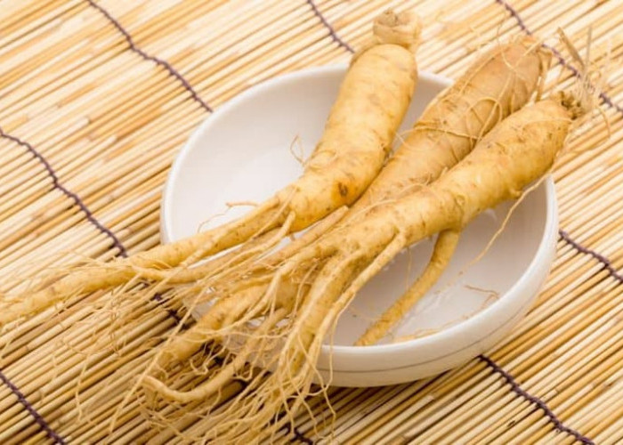  Beragam Manfaat Ginseng untuk Kesehatan Tubuh