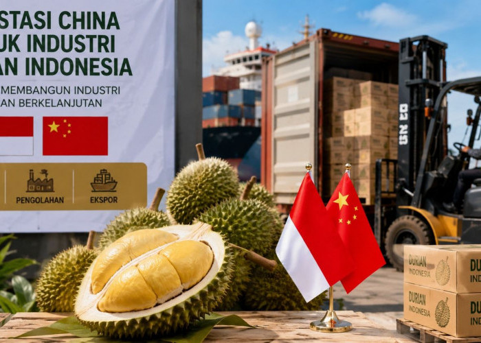 Mendag Buka Peluang Investasi China untuk Industri Durian Indonesia