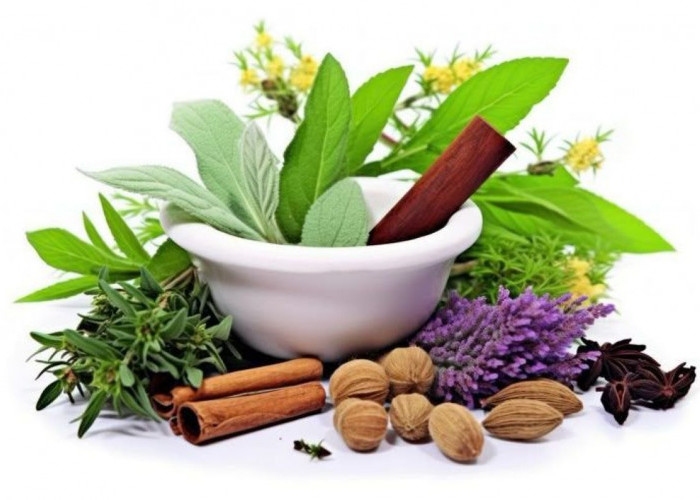 Gak Nyangka! Makanan Herbal Ini Bisa Menurunkan Gula Darah Tinggi