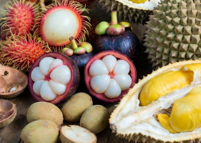 Manisnya Musim Buah, Duren, Duku, dan Manggis Hadir Bersamaan