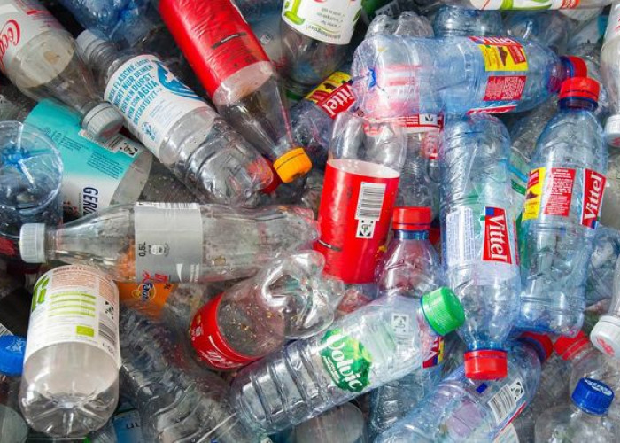 Terlalu Banyak Minum Kemasan Botol Bisa Berdampak pada Kesehatan