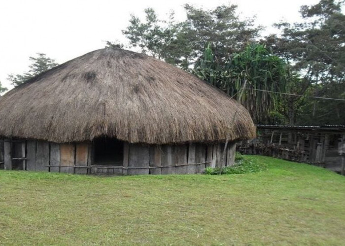 Mengenal Rumah Honai: Keunikan Arsitektur Tradisional dan Filosofi Suku Dani di Papua
