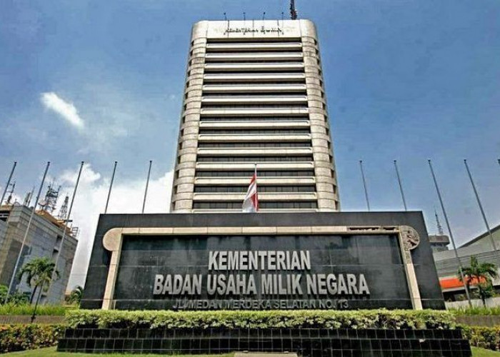 Danantara Siapkan Penyederhanaan Besar, Ribuan BUMN Akan Diringkas Jadi 200 Perusahaan