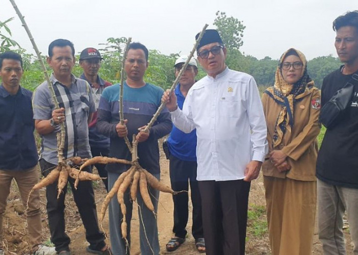 Hari Tani Nasional, Amrullah PKS: Pergub Singkong Beri Manfaat, Lampung Harus Perkuat Jadi Lumbung Pangan