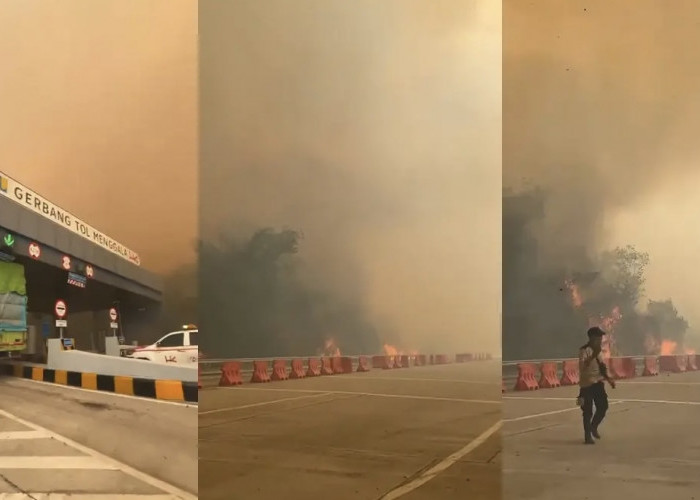 Asap Karhutla Selimuti Tol Lampung, Api Masih Terlihat di Wilayah Tulang Bawang