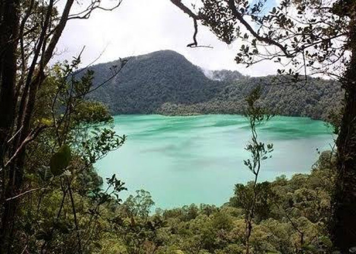Mengenal Danau Laut Tinggal, Danau Purba di Kawasan Hutan Sumatera Barat