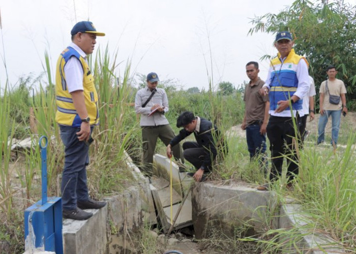 BBWS Mesuji Sekampung Percepat Perbaikan Irigasi Way Gemol yang Rusak Akibat Luapan Air Hujan