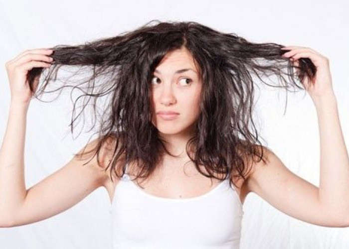 Rambut Kering? Ini Penyebab dan Cara Mengembalikan Kelembapannya