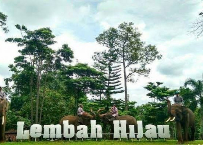 Harga Terbaru Tiket Masuk Wisata Lembah Hijau Lampung 2024, Rp.55.000 Sudah Bisa Menikmati Semua Wahana