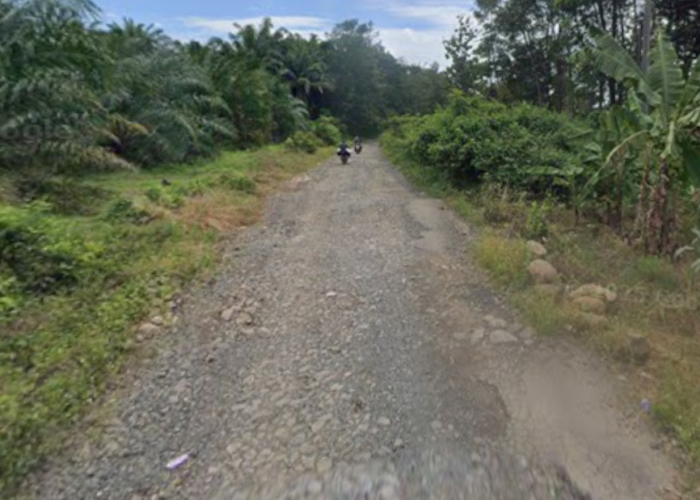 Sudah Lama Rusak, Jalan Rantau Temiang–Banjit Dipenuhi 'Kolam' dan Bebatuan