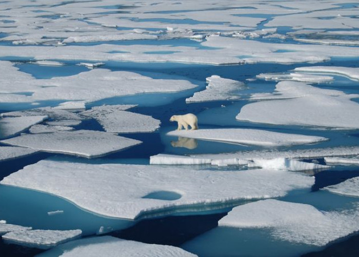 Kehilangan Triliunan Ton Es Antartika dan Greenland Picu Kenaikan Permukaan Laut Global