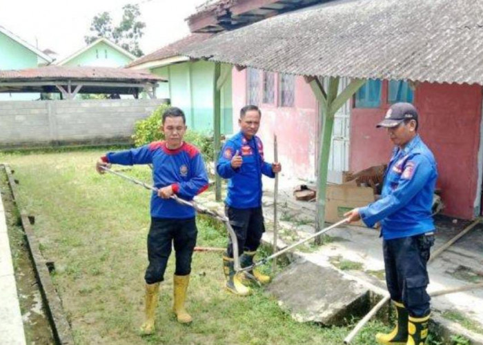 Ular Berbisa Ini Diciduk Usai Serang Siswa TK