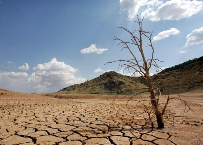 BMKG Prediksi Kemarau 2026 Lebih Kering, Seberapa Parah Dampaknya?